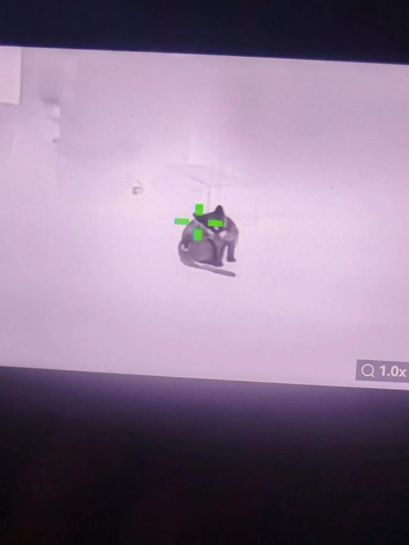 下周穿什么【三角洲卡网24小时】